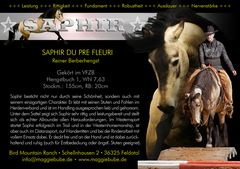 Saphir Du Pre Fleuri Berber 4