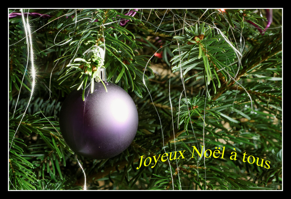 Sapin de Noël