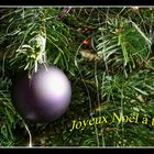 Sapin de Noël