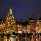 Sapin de Strasbourg