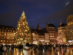 Sapin de Strasbourg