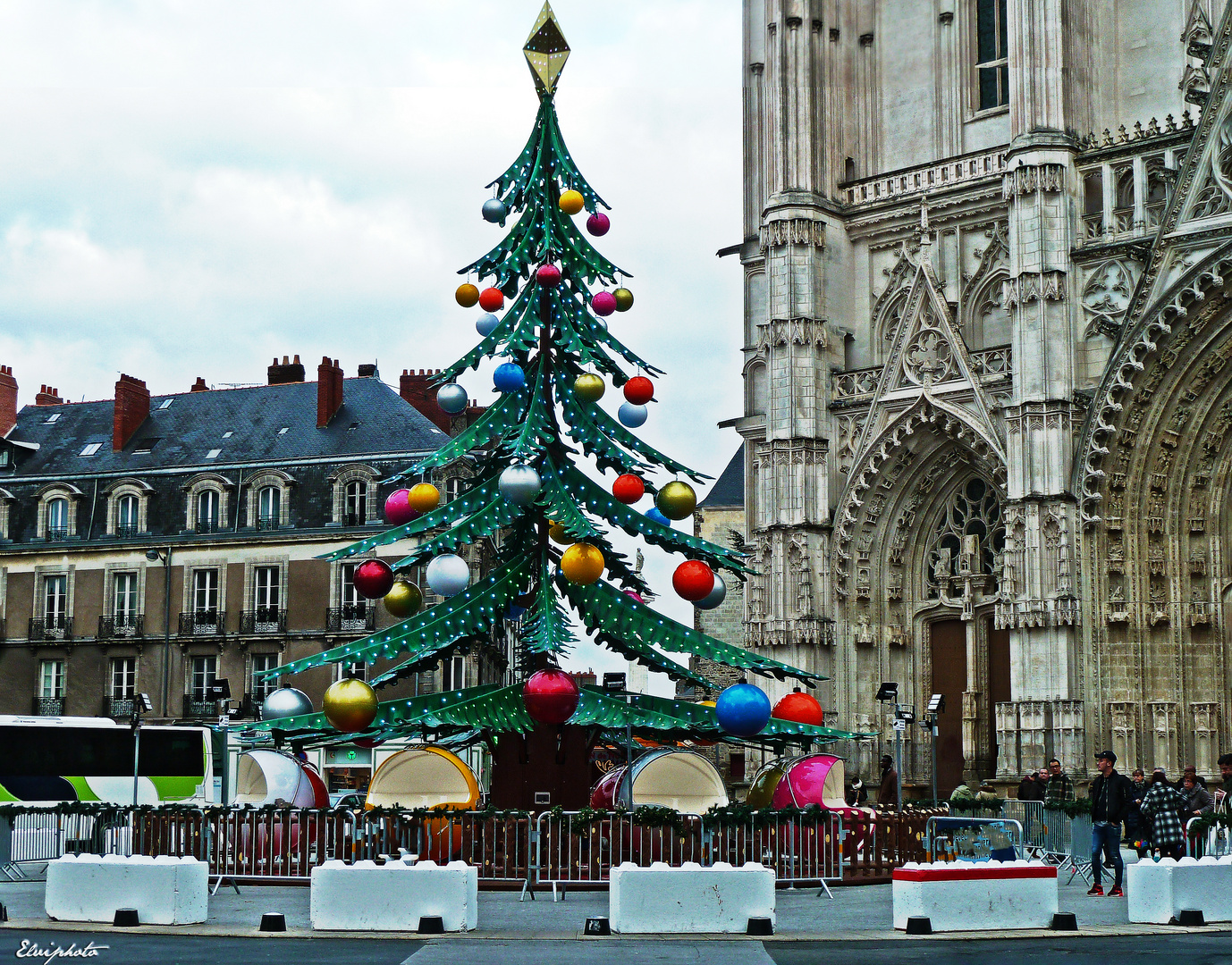 Sapin et cathédrale