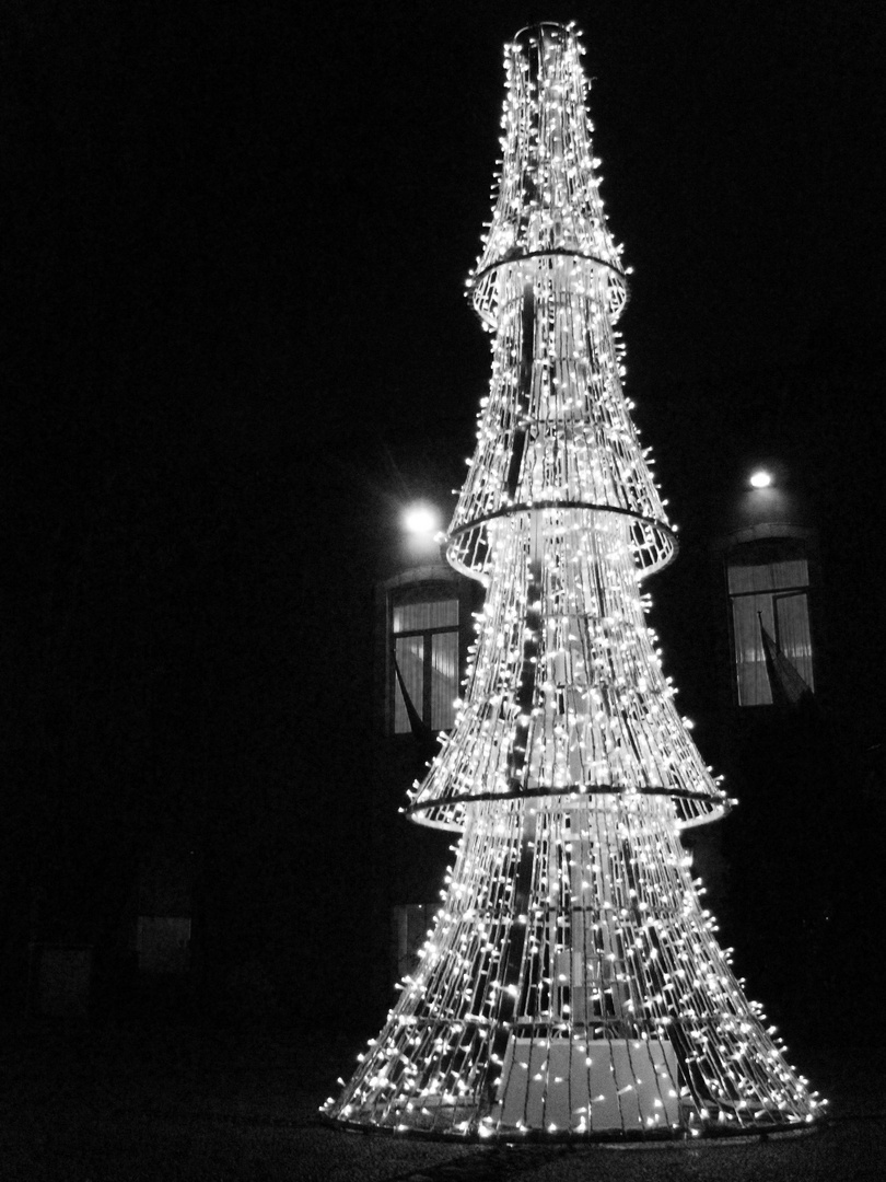 Sapin lumineux