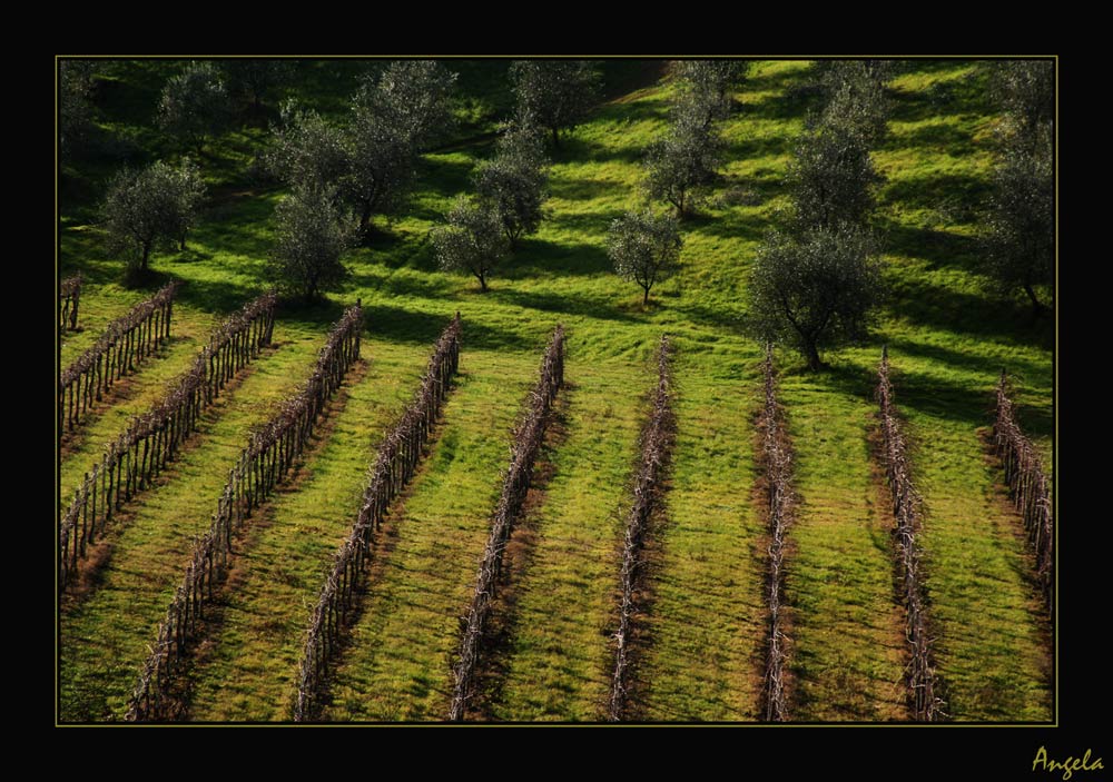 Sapori della Toscana