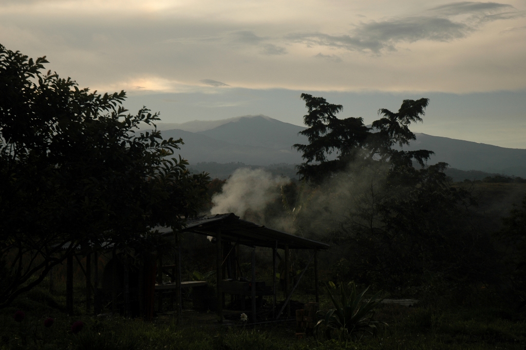 sapori di Colombia all'alba