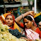 Sapori d'uva (India)
