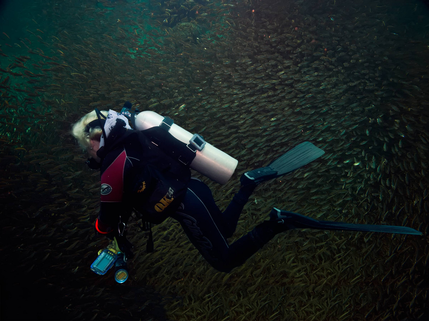 Sara nel pesce azzurro