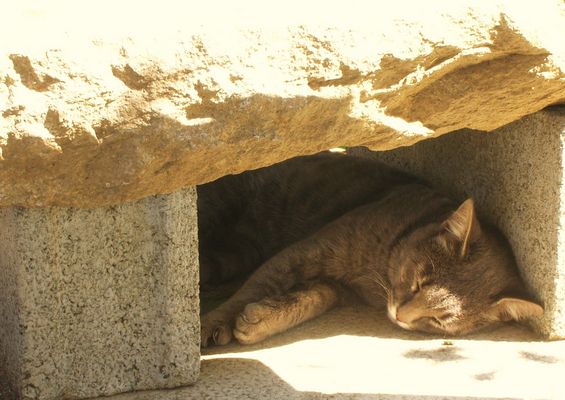 "Sarà Ottobre... ma ar sole cio' cardo!"