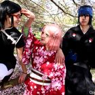 Sarada Uchiha, Sasuke Uchiha und Sakura Haruno Hanami 2016