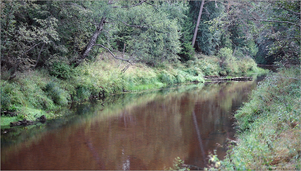 Saragozha-river