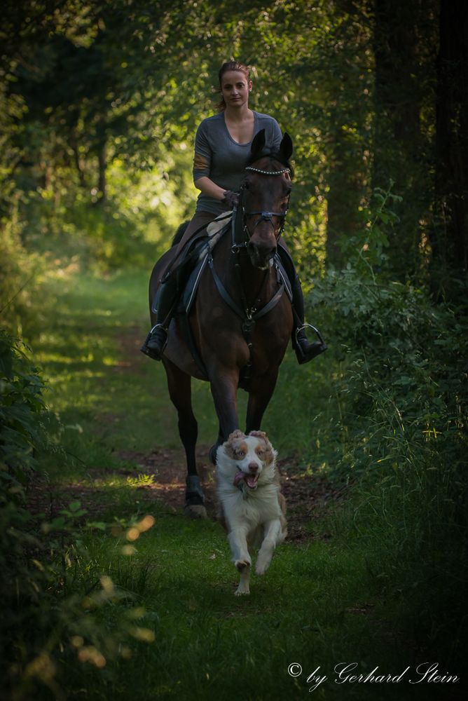 Sarah, Cera und Milow Juni2014