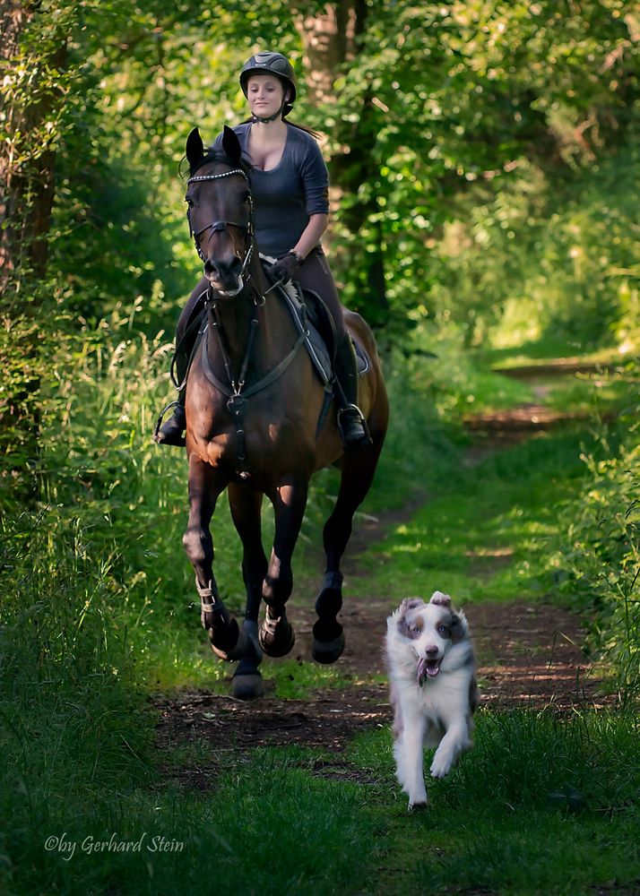 Sarah, Cera und Milow Juni2014/2