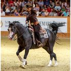 Sarah Conner beim Westernreiten