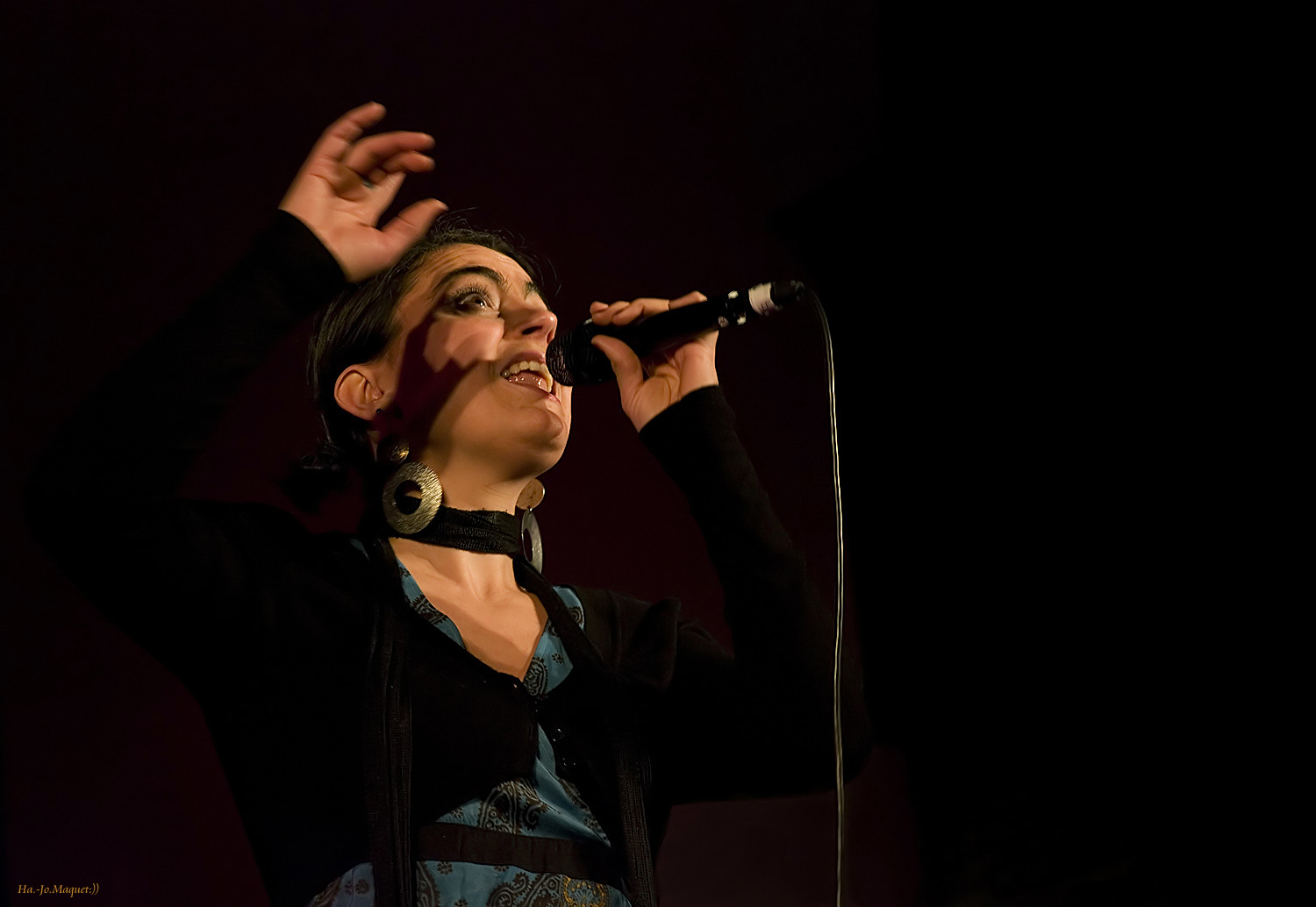 Sarah Kaiser. Foto & Bild jazztage dresden '09 Bilder auf