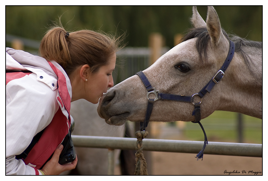 Sarah und der Araber