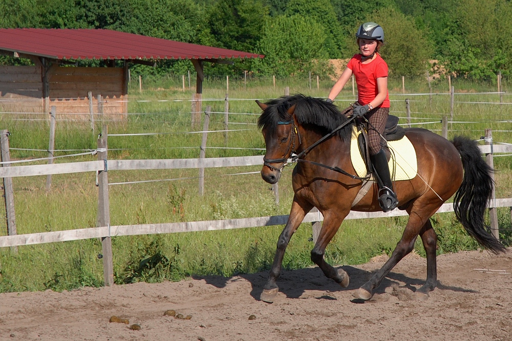 Sarah und Frodo :-)