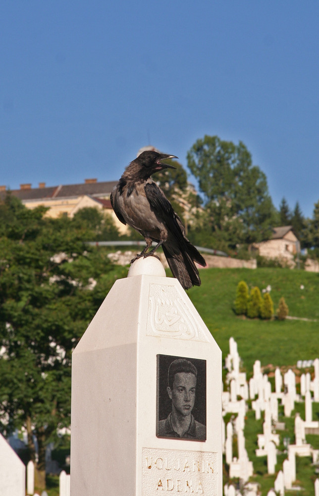 Sarajevo mon amour