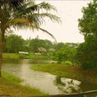 Sarawak-dayak place
