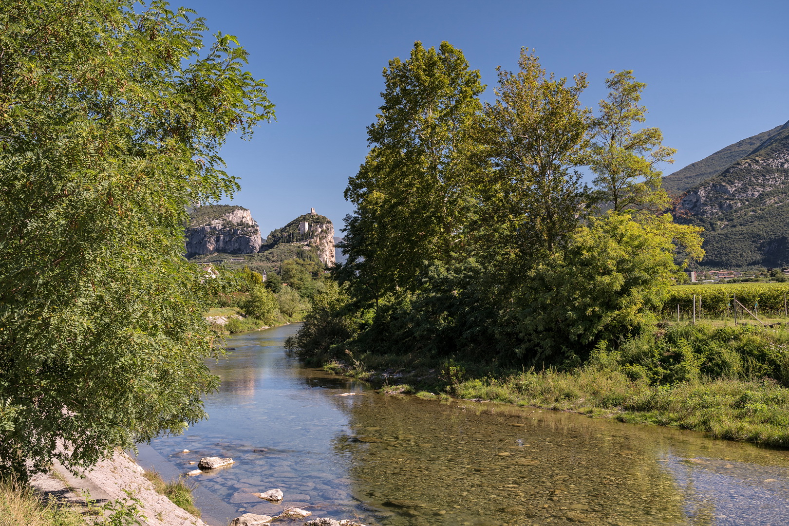 Sarca mit Blick auf die Burg von Arco