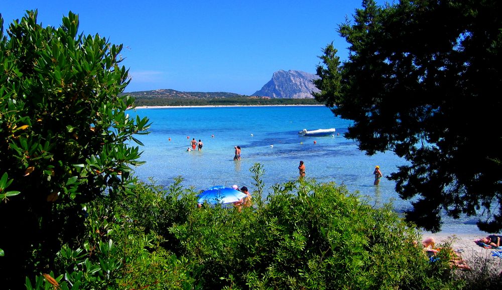 sardegna 1