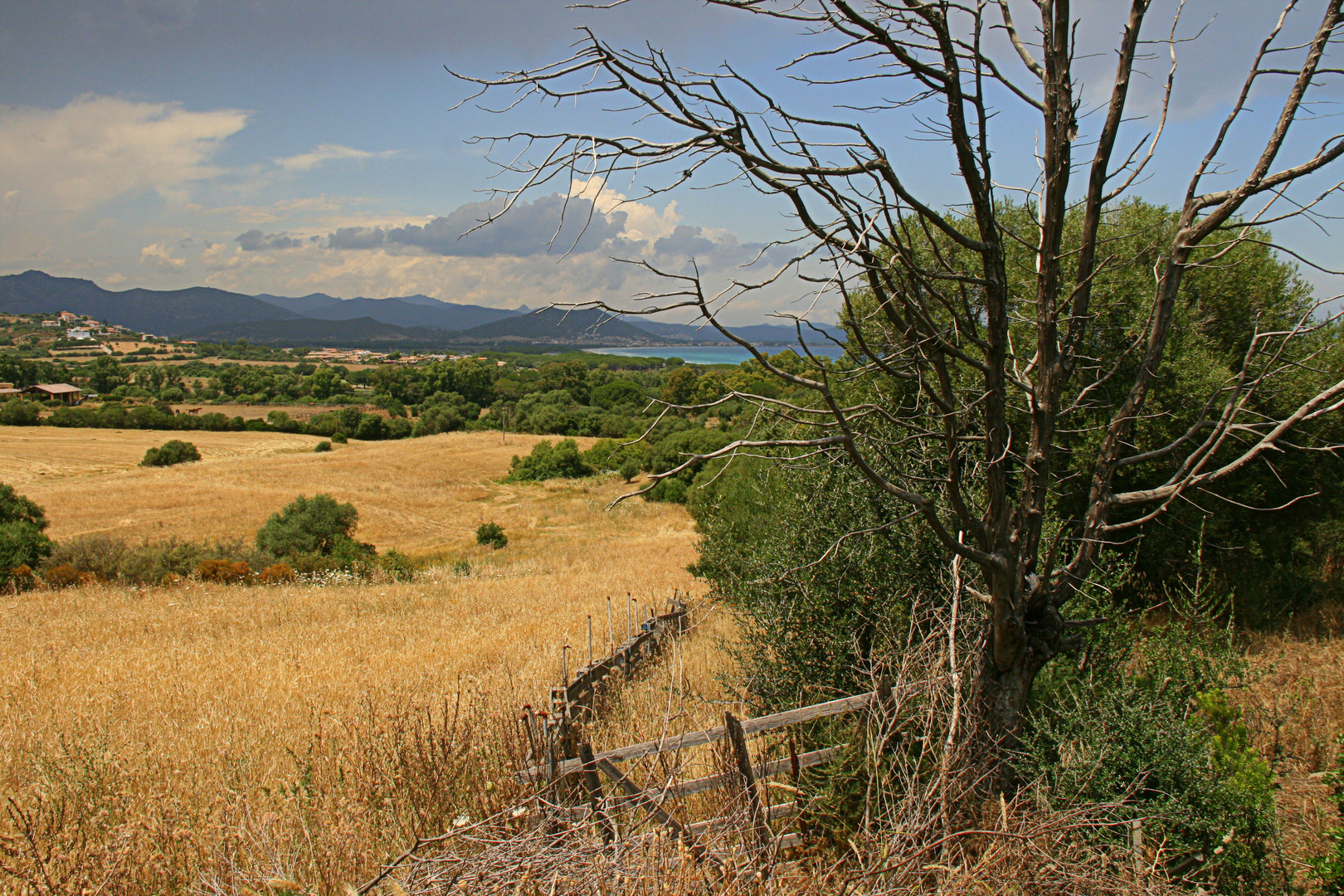 Sardegna 1