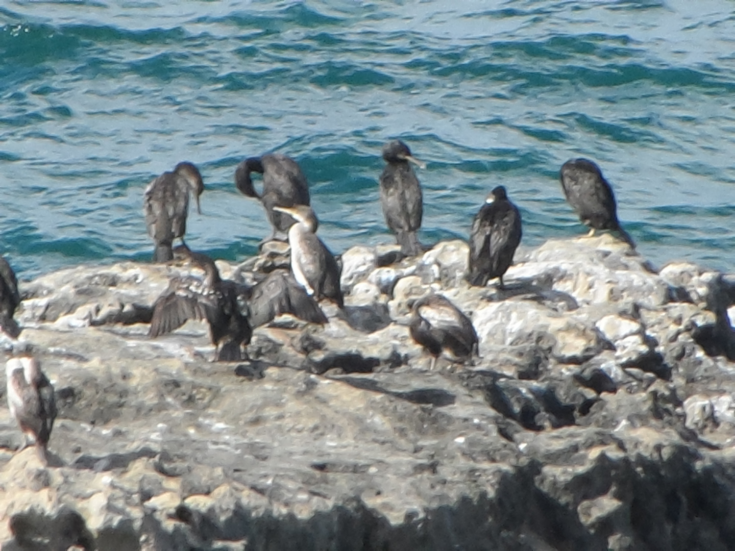 sardegna