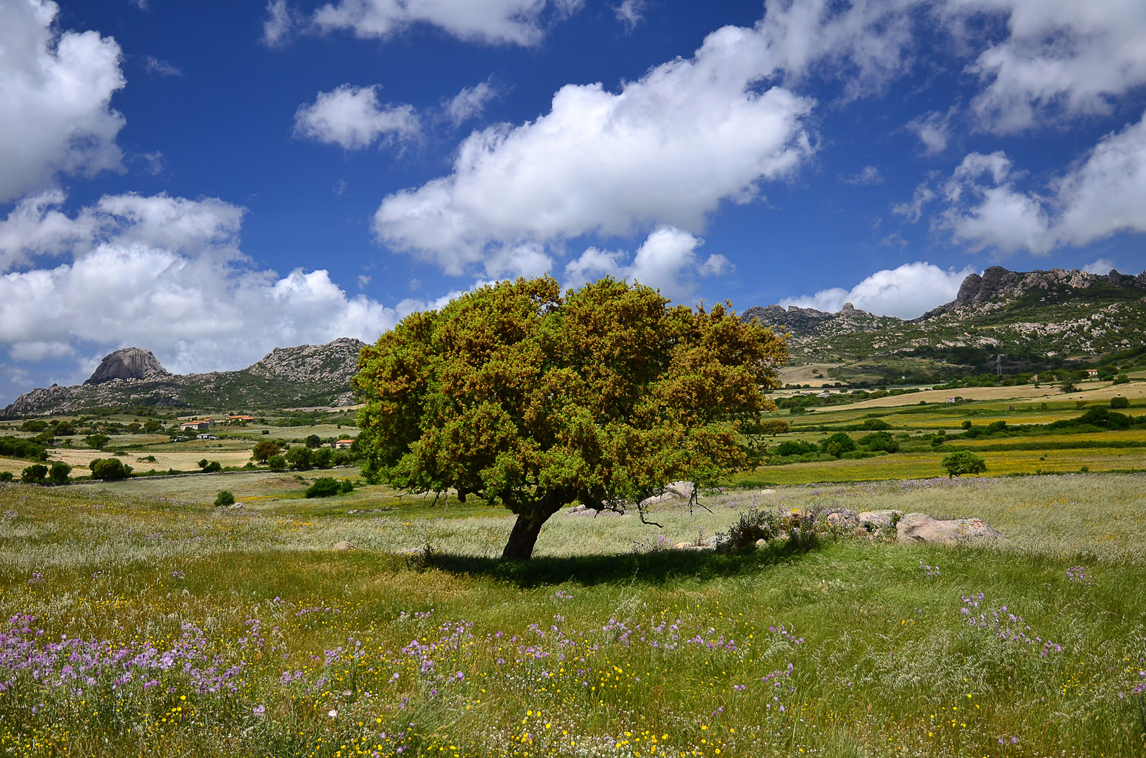 Sardegna