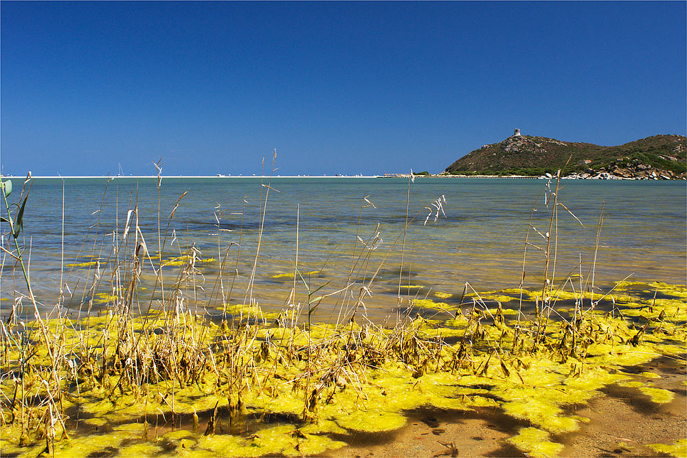 Sardegna