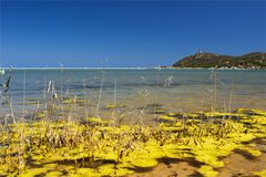 Sardegna