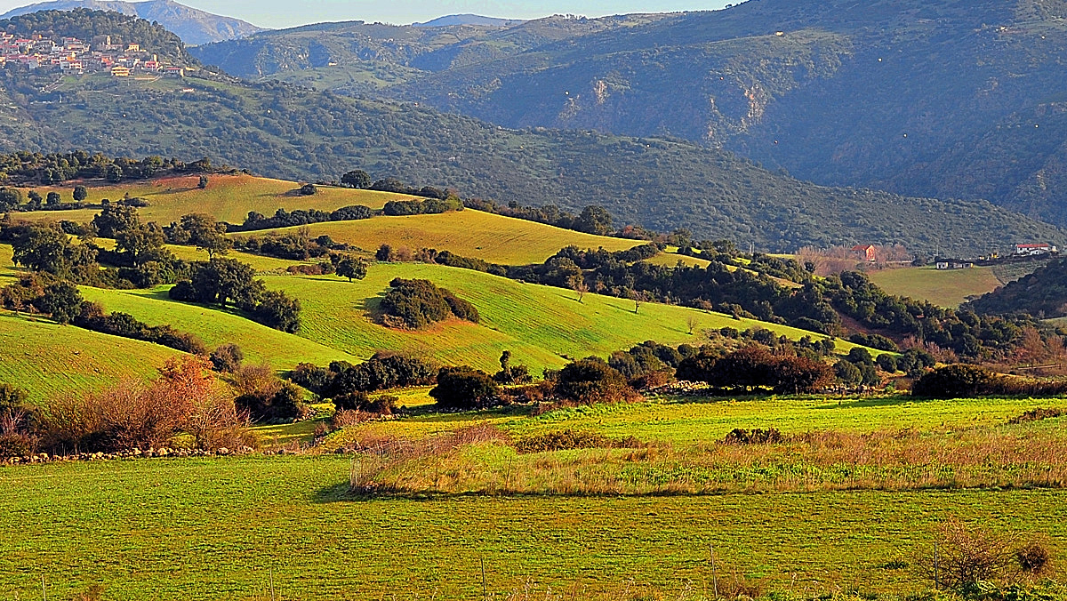 Sardegna centrale