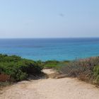 Sardegna