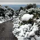 Sardegna innevata