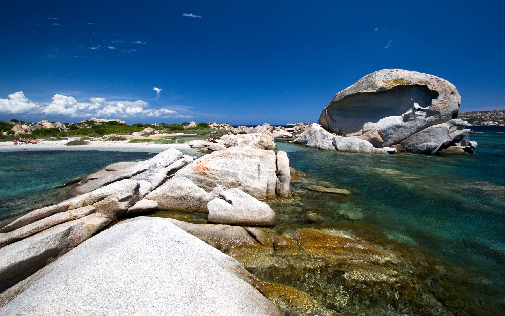 Sardegna, La Maddalena, testa di Polipo