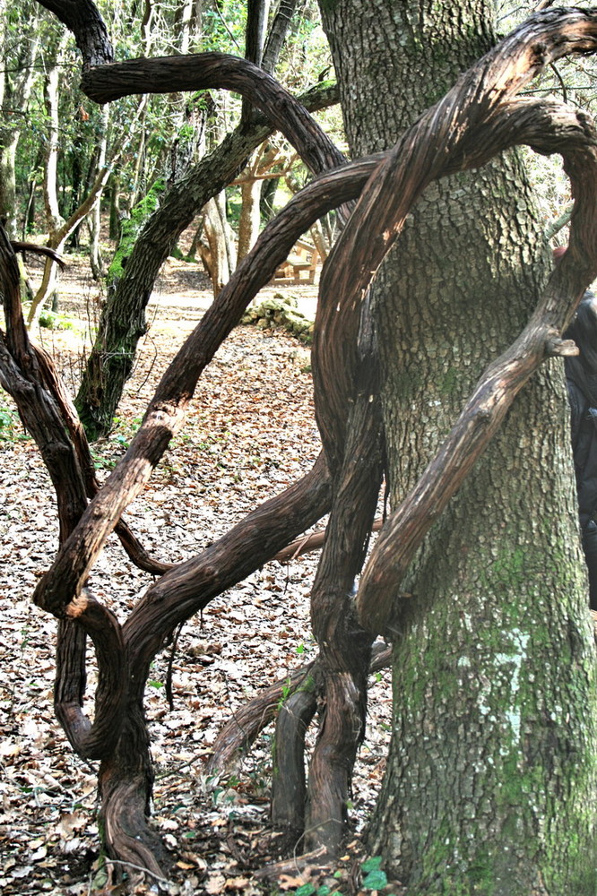 Sardegna misteriosa