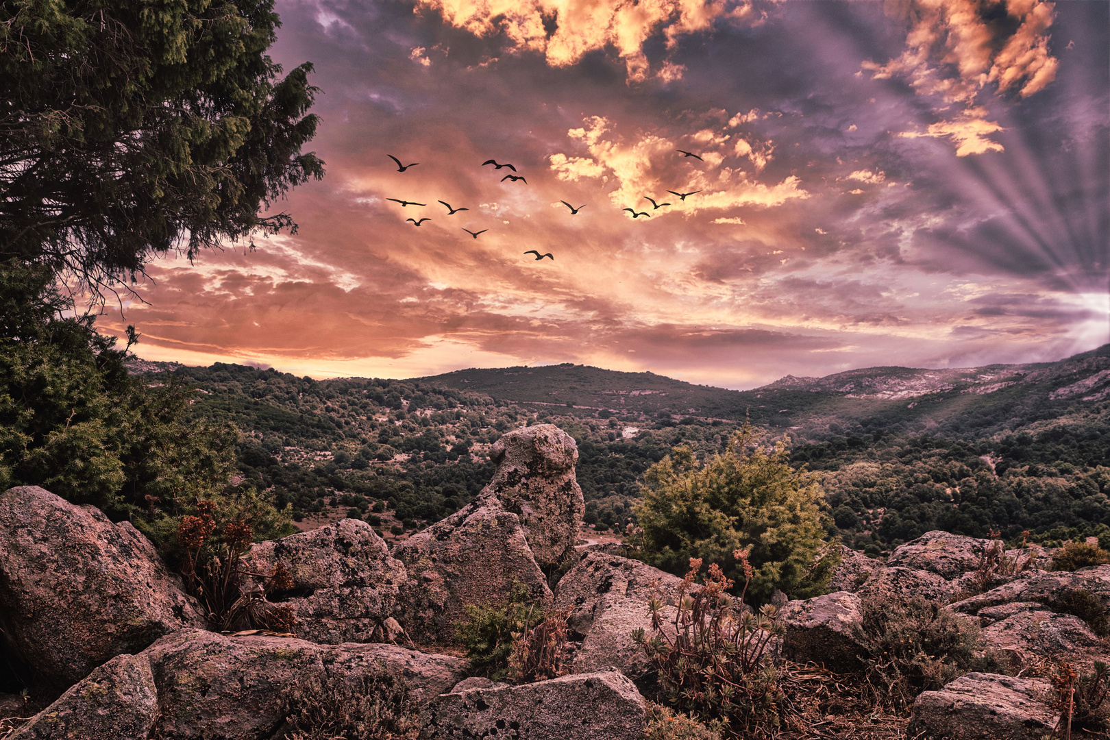 Sardegna, non solo mare