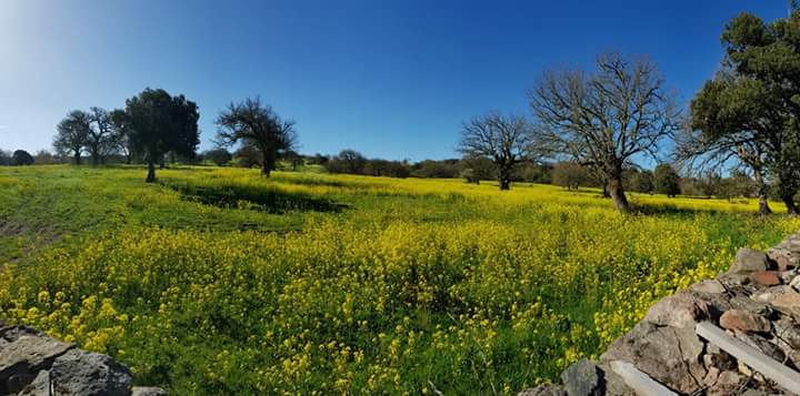 Sardegna primavera