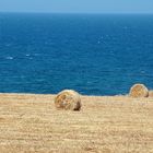 Sardegna...terra e mare