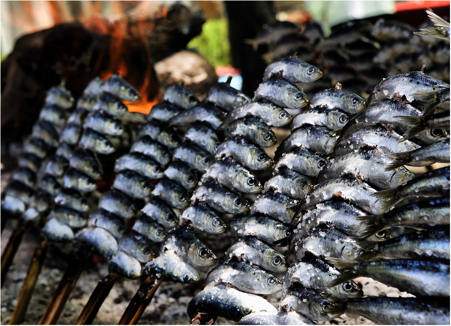 ! SARDINAS A LA BRAZA !