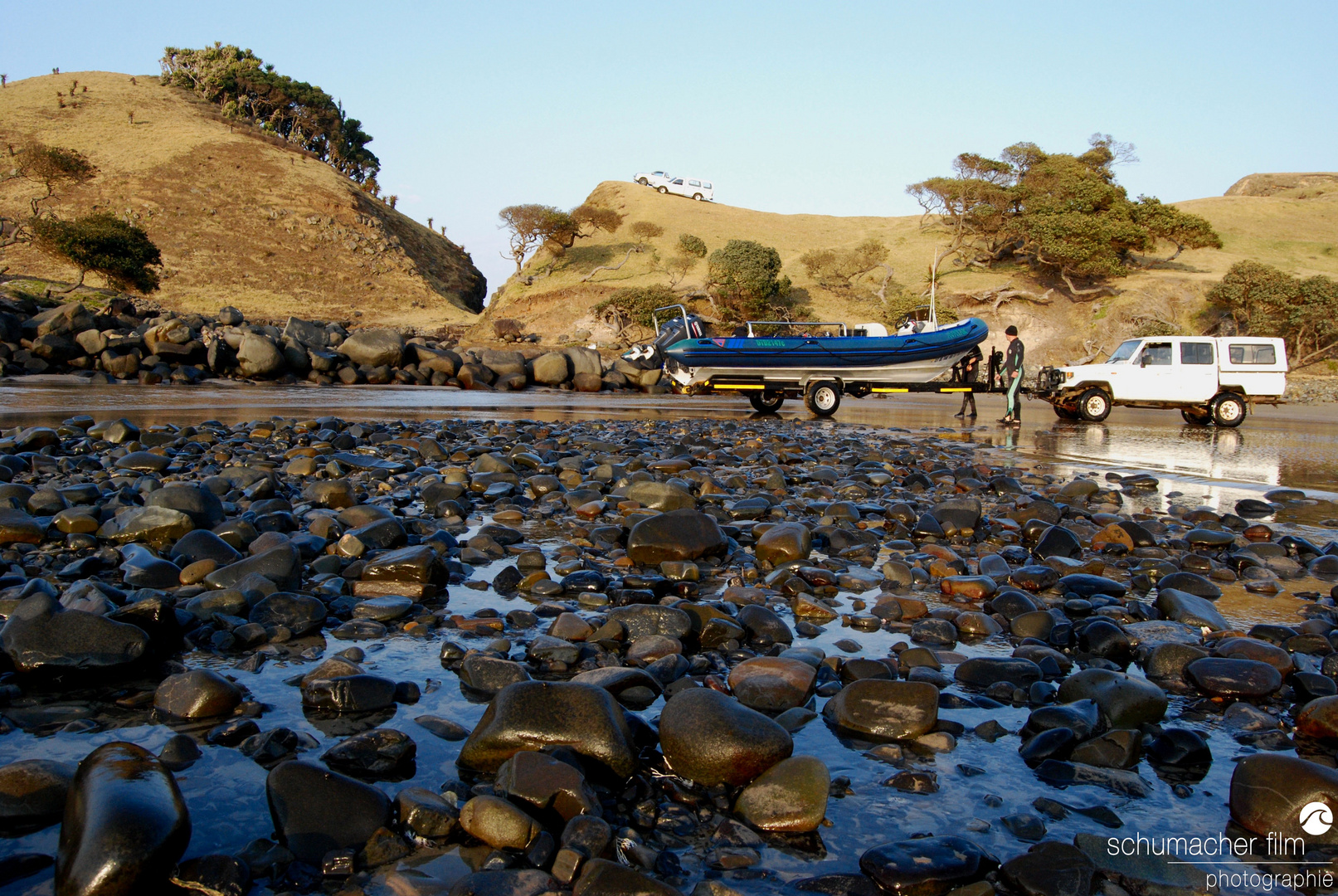 Sardine Run - Mapuzi