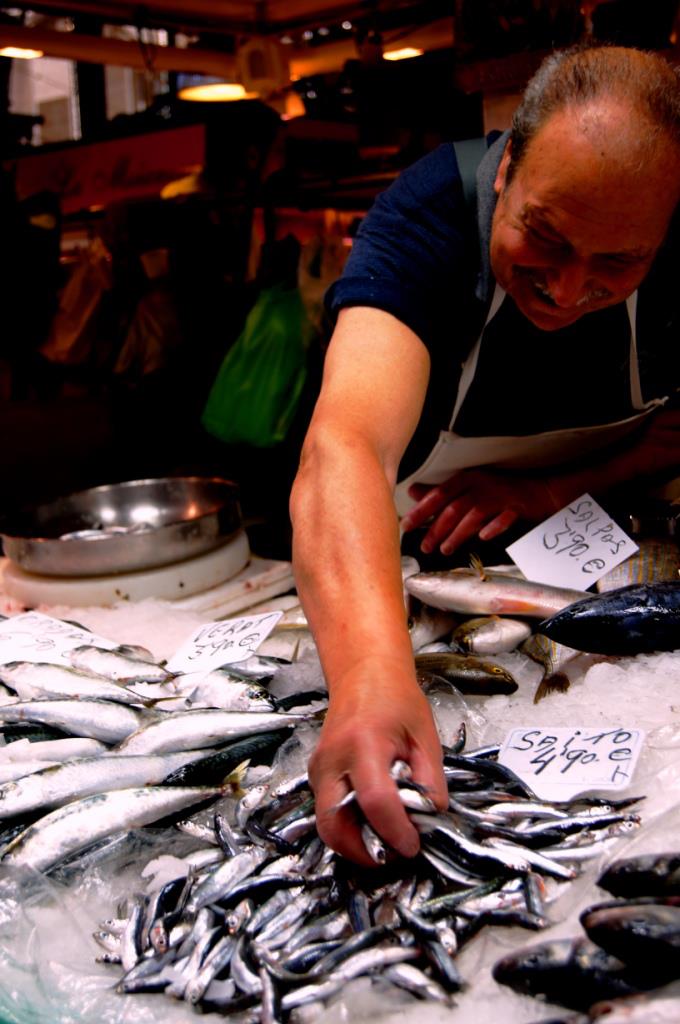 Sardinen frisch von der Markthalle Barcelona