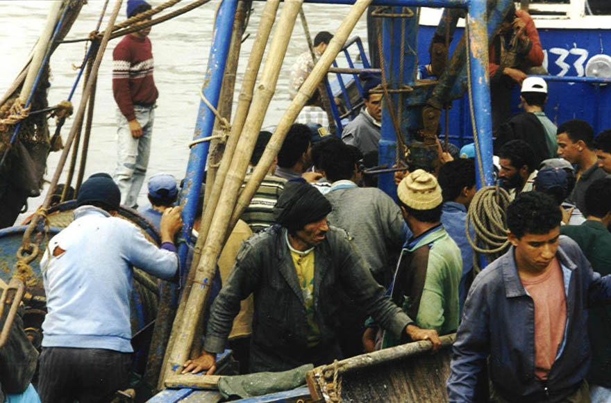 Sardinenfischer in Essaouira (Marokko)