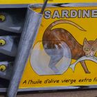 Sardines Du Chat