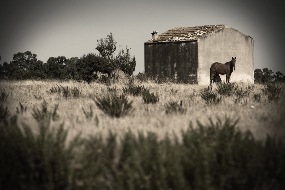 Sardinia