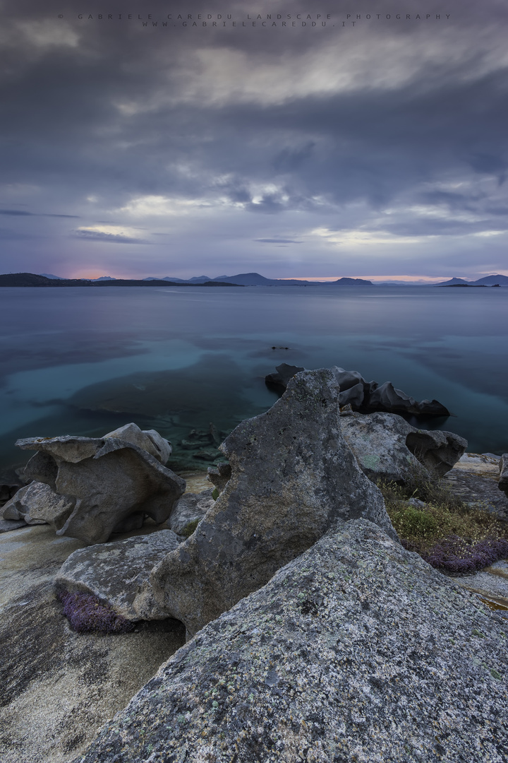 Sardinia Green