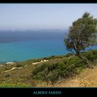 Sardinia tree