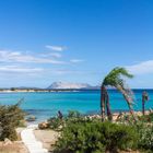 Sardinien-1