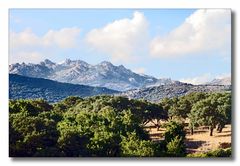 Sardinien #34