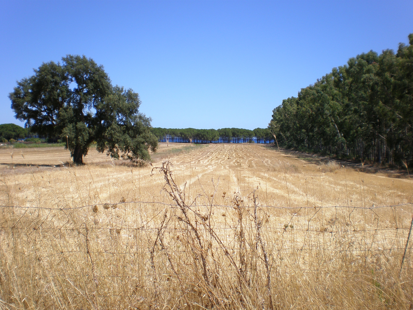 Sardinien