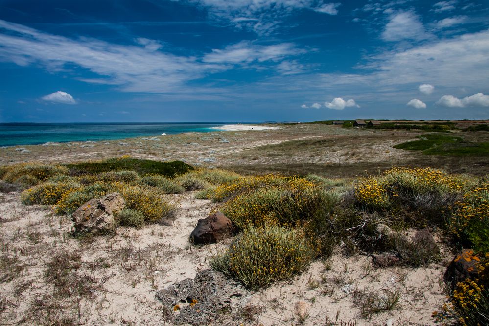 Sardinien