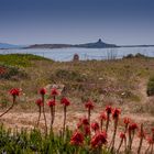 Sardinien